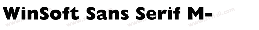 WinSoft Sans Serif M字体转换